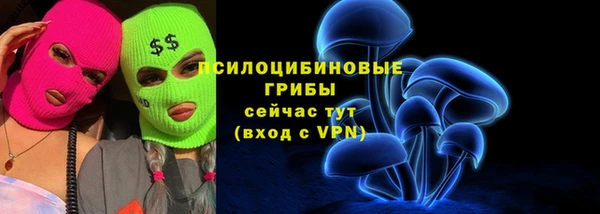 тгк Балахна